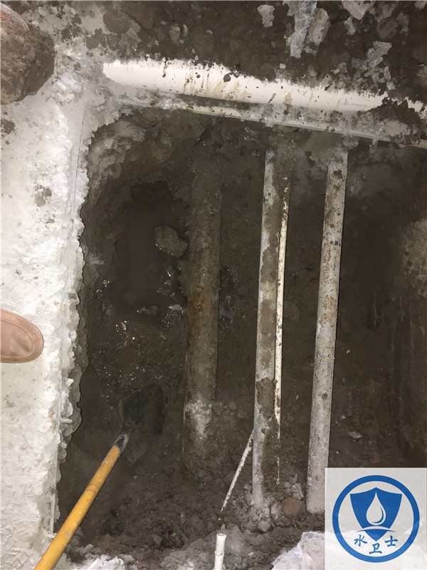 【外網(wǎng)測(cè)漏】鎮(zhèn)江金山東街